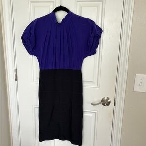 Elegant Purple and Black Dress
